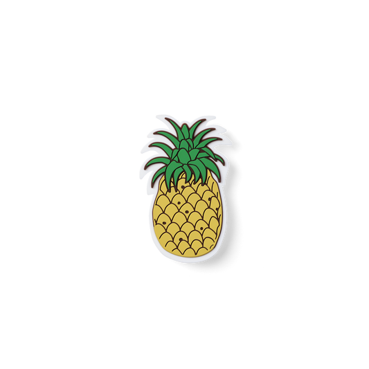 Bogg Bit  - Pineapple