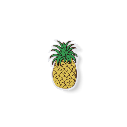 Bogg Bit  - Pineapple